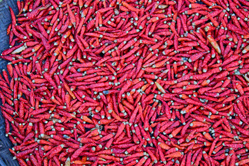 Dried red chili pepper outdoors 