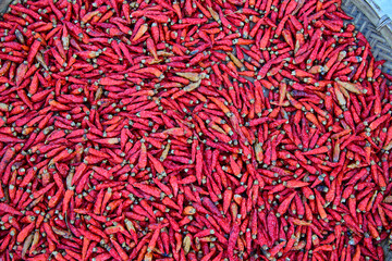 Dried red chili pepper outdoors 