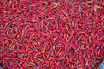 Dried red chili pepper outdoors 