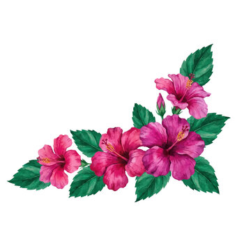 Pink watercolor hibiscus tropical floral corner border. Hand painted exotic flower arrangement isolated on transparent background for wedding invitation and greeting card design