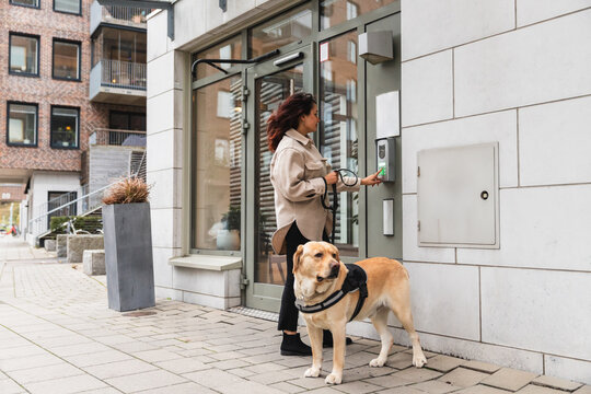 Woman with Her Labrador Dog Using Intercom at Building Entrance