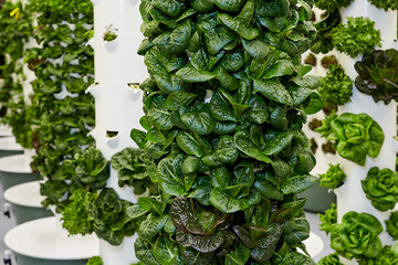 Indoor vertical hydroponic garden tower