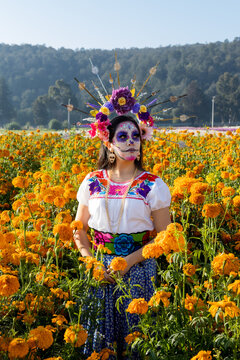 Traditional Mexican catrina posing in a field of marigolds