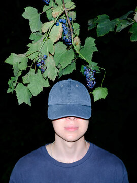 Person in cap beneath grape clusters at night