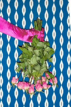 A pink hand holds a dried flowers