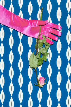A pink hand holds a dried flower
