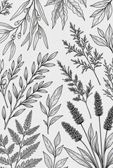 Fototapeta premium Ilustrasi botani elegan dari berbagai daun dan bunga