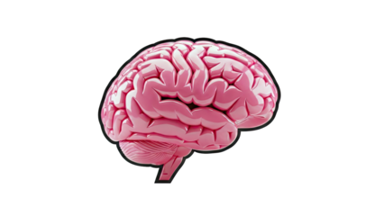 Pink Brain Illustration with Black Outline