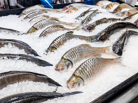 Fresh fish displayed on ice inside a supermarket