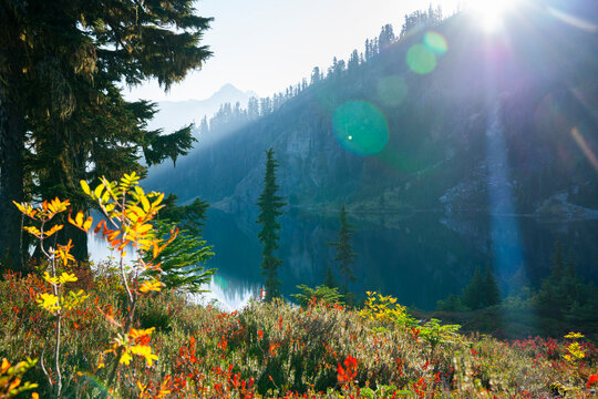sun flare mountain foliage 