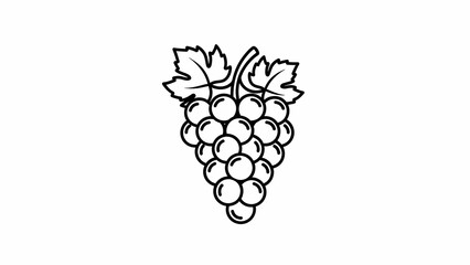 bunch of grapes isolated on white background