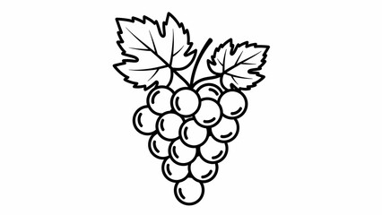 bunch of grapes isolated