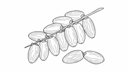 black and white sketch of rope