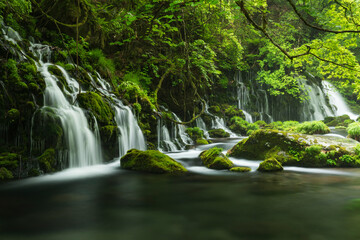 新緑の元滝伏流水