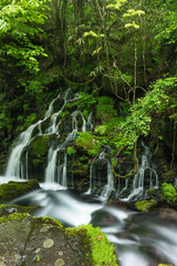 新緑の元滝伏流水