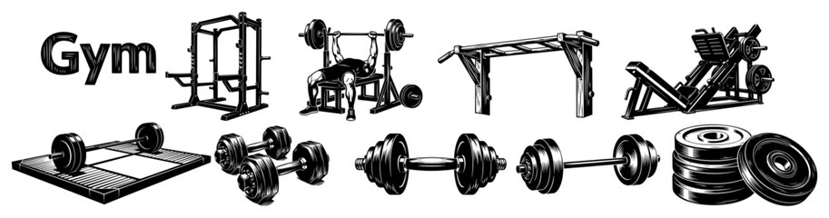 Gym fitness equipment collection with weights and workout machines
