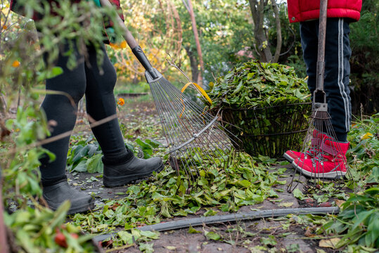 Unrecognizable Child and an adult woman are raking leaves 