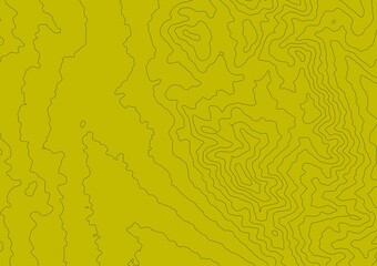 Curvas de nivel sobre fondo solido. Mapa topogr&aacute;fico