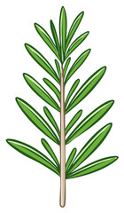 Obraz premium Stylized Rosemary Branch Illustration. Green leaves and brown stem on white background.