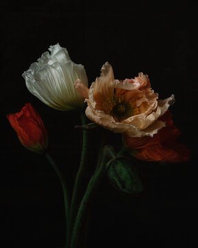 Still Life with Flowers 
