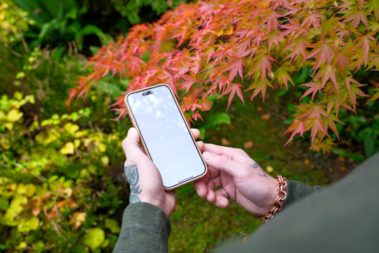 blank cell phone screen outside