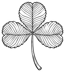 Three Leaf Clover Outline Artistic Botanical Illustration Symbol of Luck