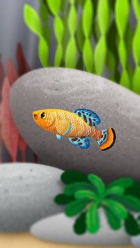 Wallpaper killifish 