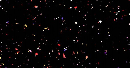 Colorful flower petals sway in the wind. Isolated on black background. 3D rendering.