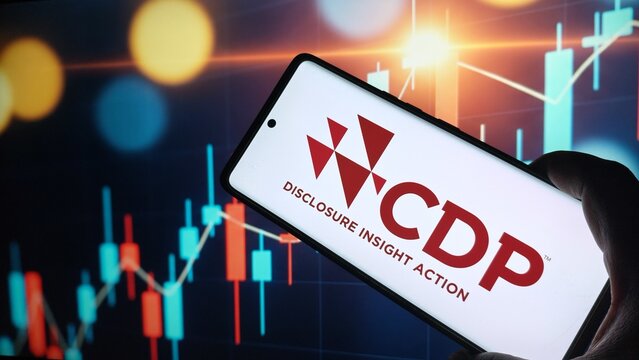 Hand holding smartphone with CDP Disclosure Insight Action logo on screen