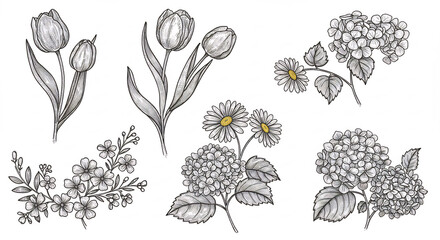Botanische Vielfalt zart aquarelliert Graustufen Blumen wie Tulpen Margeriten Hortensien charmant skizziert auf wei�em Grund. AI Generated