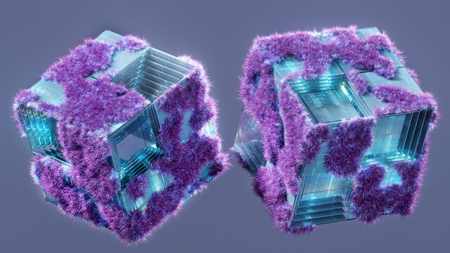 Two Cubes Study &mdash; Cyber-Organic Surfaces