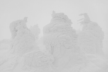 Zao Juhyo: A White, Giant Group Sculpture in Snow and Fog.