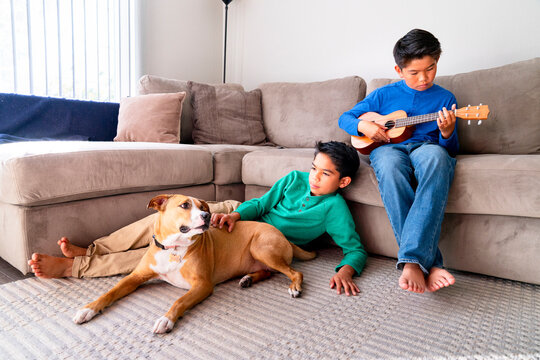 hanging out on sofa