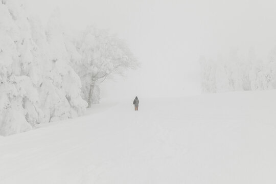 The Silhouette of a Hiker Striving in a Snowstorm.