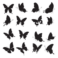  Butterflies silhouette set on transparent background