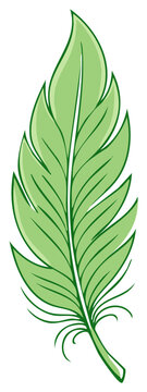 Simple Green Feather Illustration with Organic Lines