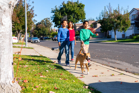 Family walk Dog Neighborhood 