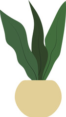 vector illustration of a plant in a pot