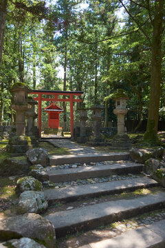 Serene Pathway Leading to a Torii Gate in a Tranquil Forest at Todaiji