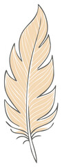 Obraz premium Delicate light brown feather with thin white stripes and a dark outline drawn in a whimsical style