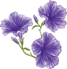 Blue Vein Petunia Botanical Painting
