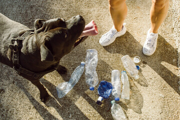 A dog that helps its owner collect plastic in the forest