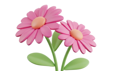 3D Render of Two Pink Daisy Flowers with Green Leaves