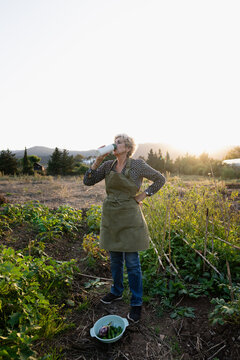 Woman hydrating in a vegetable plot at sunset