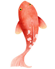 Watercolor Illustration of a Red Koi Fish