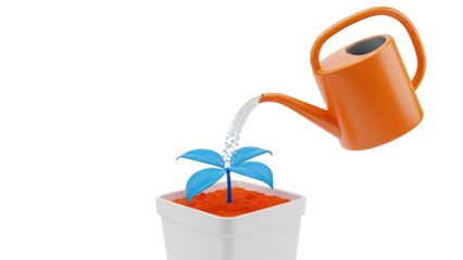 Watering a Small Blue Plant in a Pot
