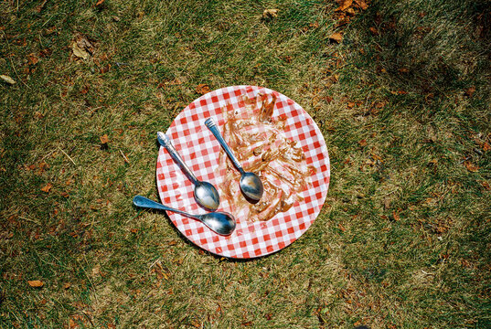 Dessert Plate on Grass with Spoons