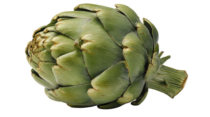 Fototapeta premium Healthy green globe artichoke isolated on transparent background, fresh raw vegetable for cooking ingredients