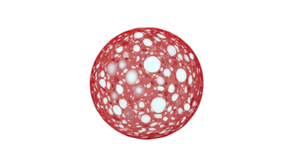 Close-up of a Salami Slice