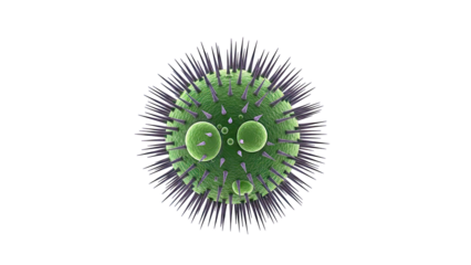 Green spiky virus particle with internal structures